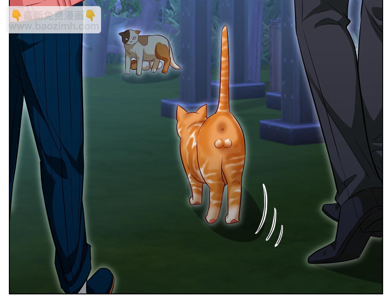 找到的可不止小猫咪-第153话