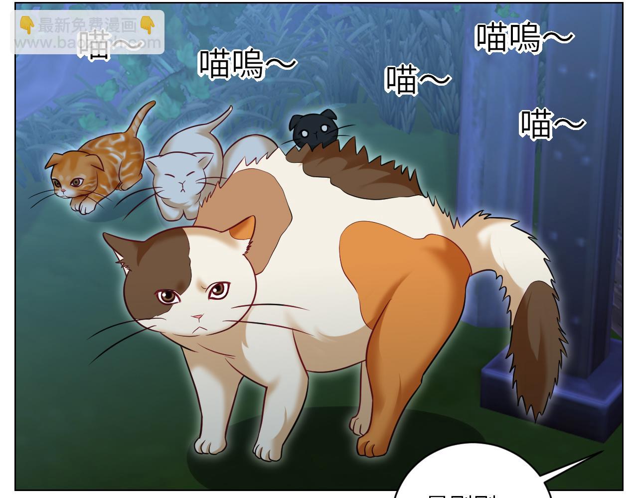 找到的可不止小猫咪-第153话