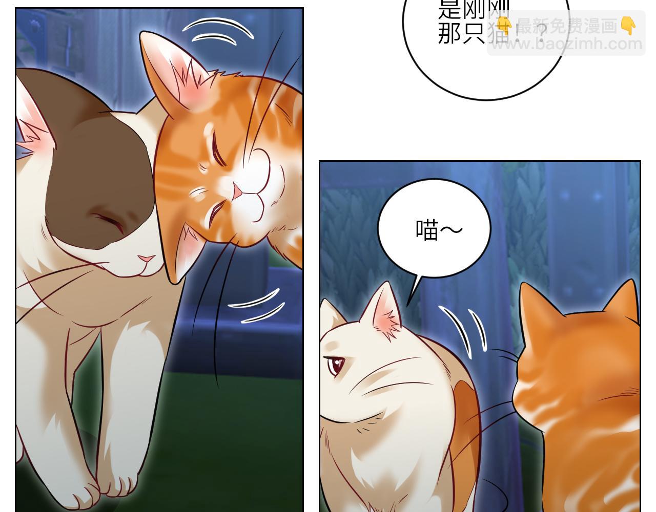 找到的可不止小猫咪-第153话