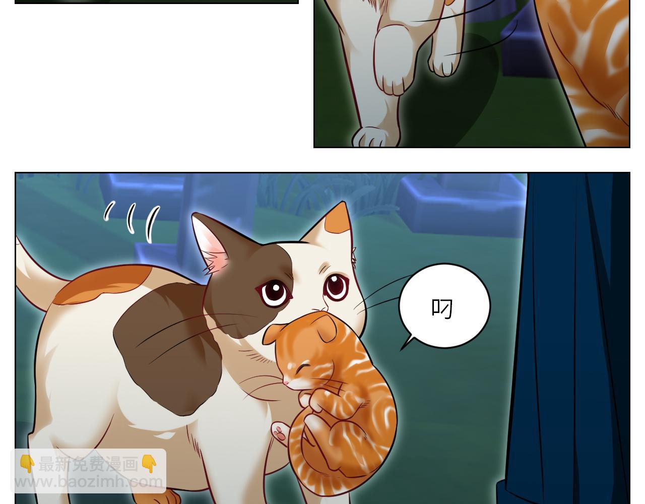 找到的可不止小猫咪-第153话