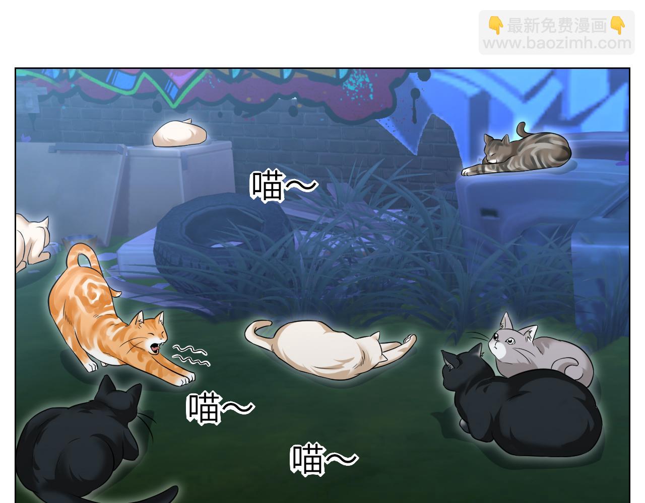 找到的可不止小猫咪-第153话