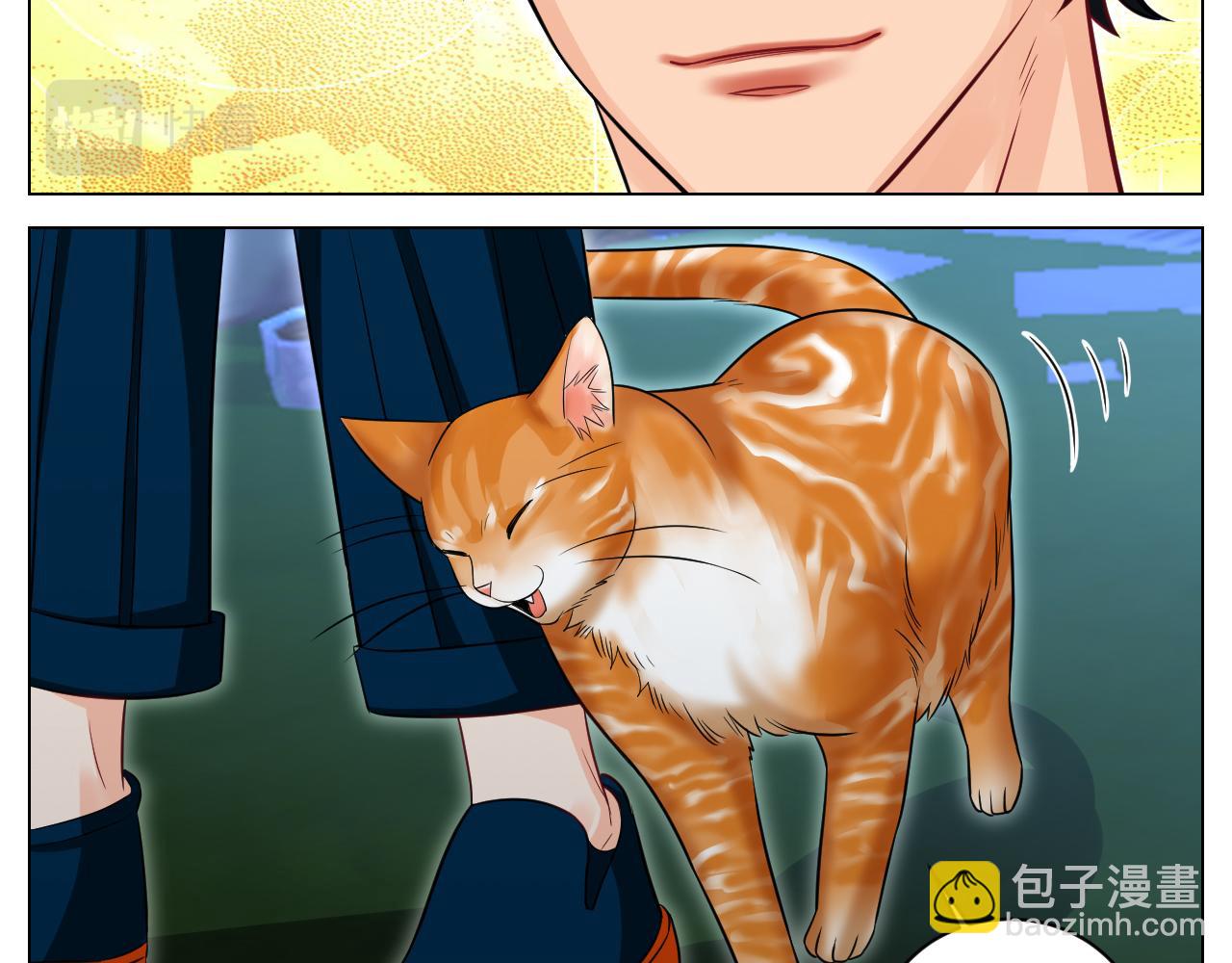 找到的可不止小猫咪-第153话