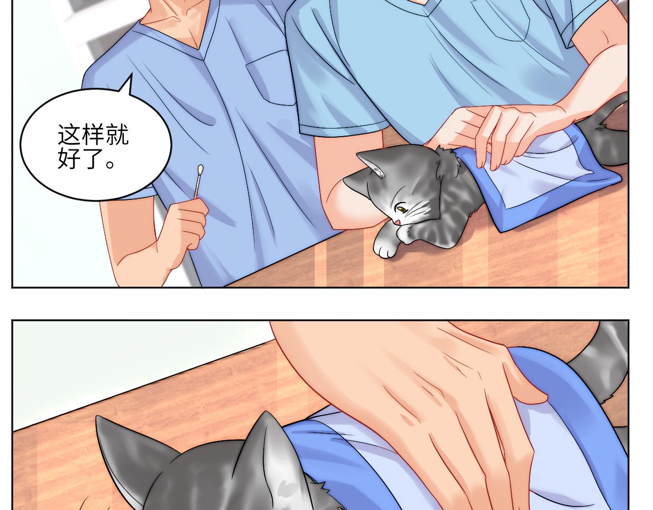 男生宿舍303【快】 - 小貓咪們的小護士 - 1
