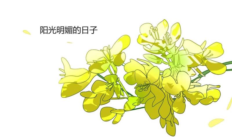 第77话 求婚(1/2)-第77话