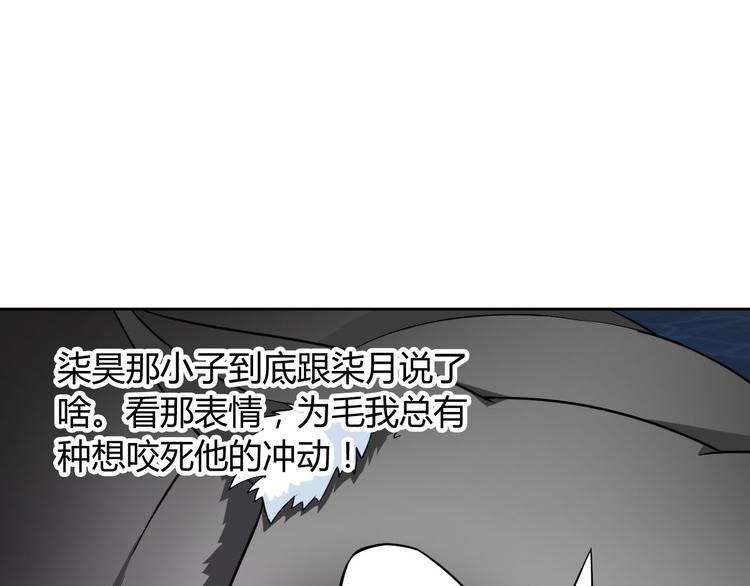 第33话 我被泰迪盯上了！(1/3)-第35话