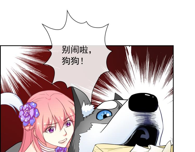 第35话 这只狗快成精了吧！？(1/2)-第37话