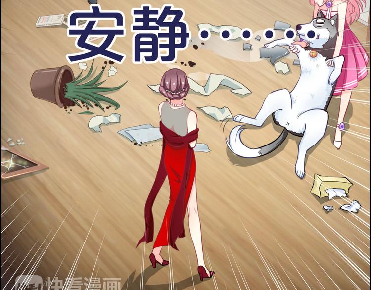 第35话 这只狗快成精了吧！？(1/2)-第37话