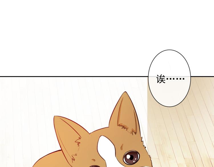 第47话 新宠(1/3)-第49话