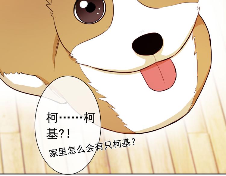 第47话 新宠(1/3)-第49话