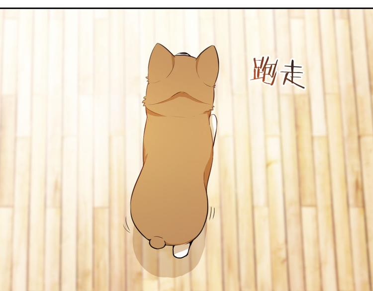 第47话 新宠(1/3)-第49话