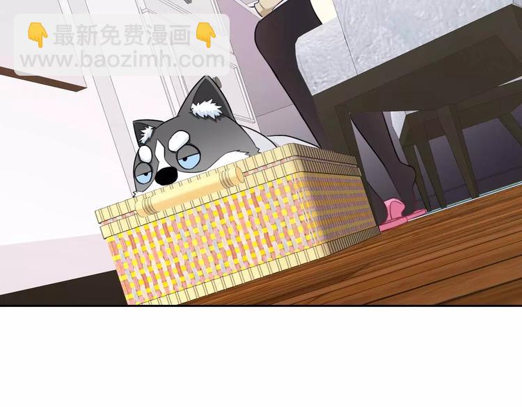 第63话 我是男的！(1/3)-第65话