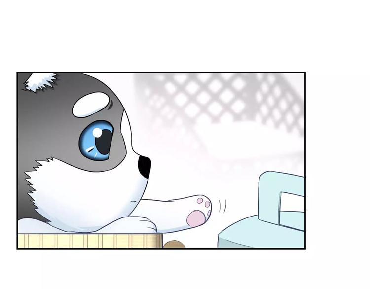 第63话 我是男的！(1/3)-第65话