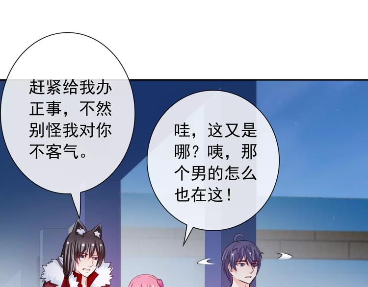 第75话 傻猫？蠢狗？(1/2)-第77话