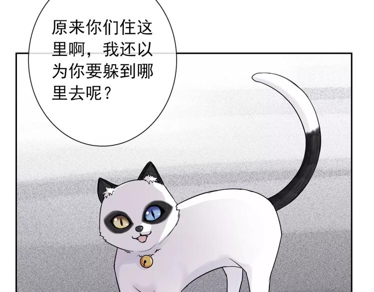 第89话 猫妖(1/3)-第91话