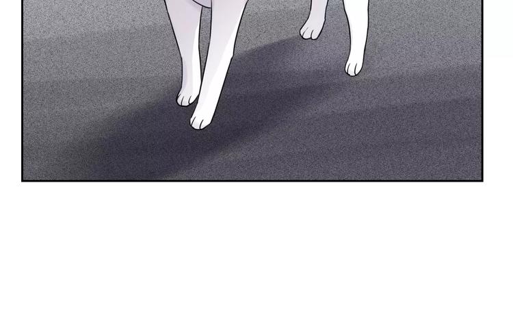 第89话 猫妖(1/3)-第91话