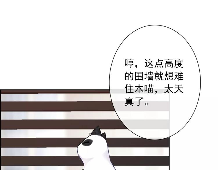 第89话 猫妖(1/3)-第91话