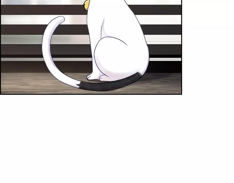 第89话 猫妖(1/3)-第91话