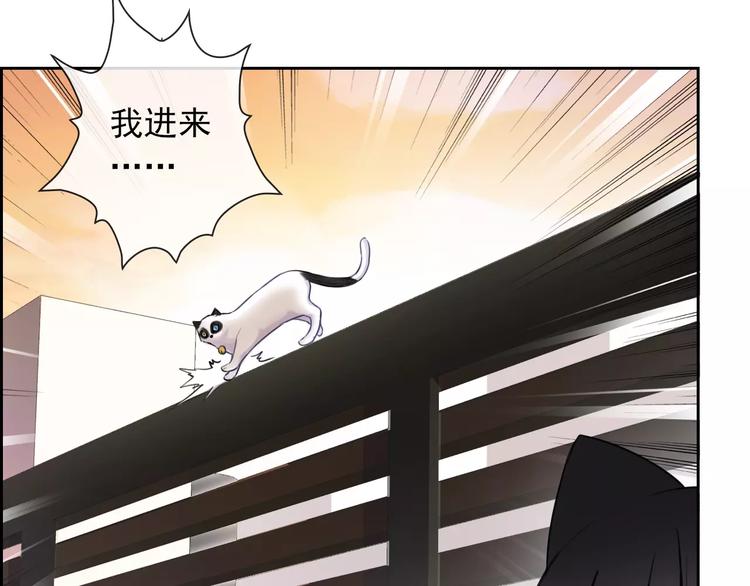 第89话 猫妖(1/3)-第91话