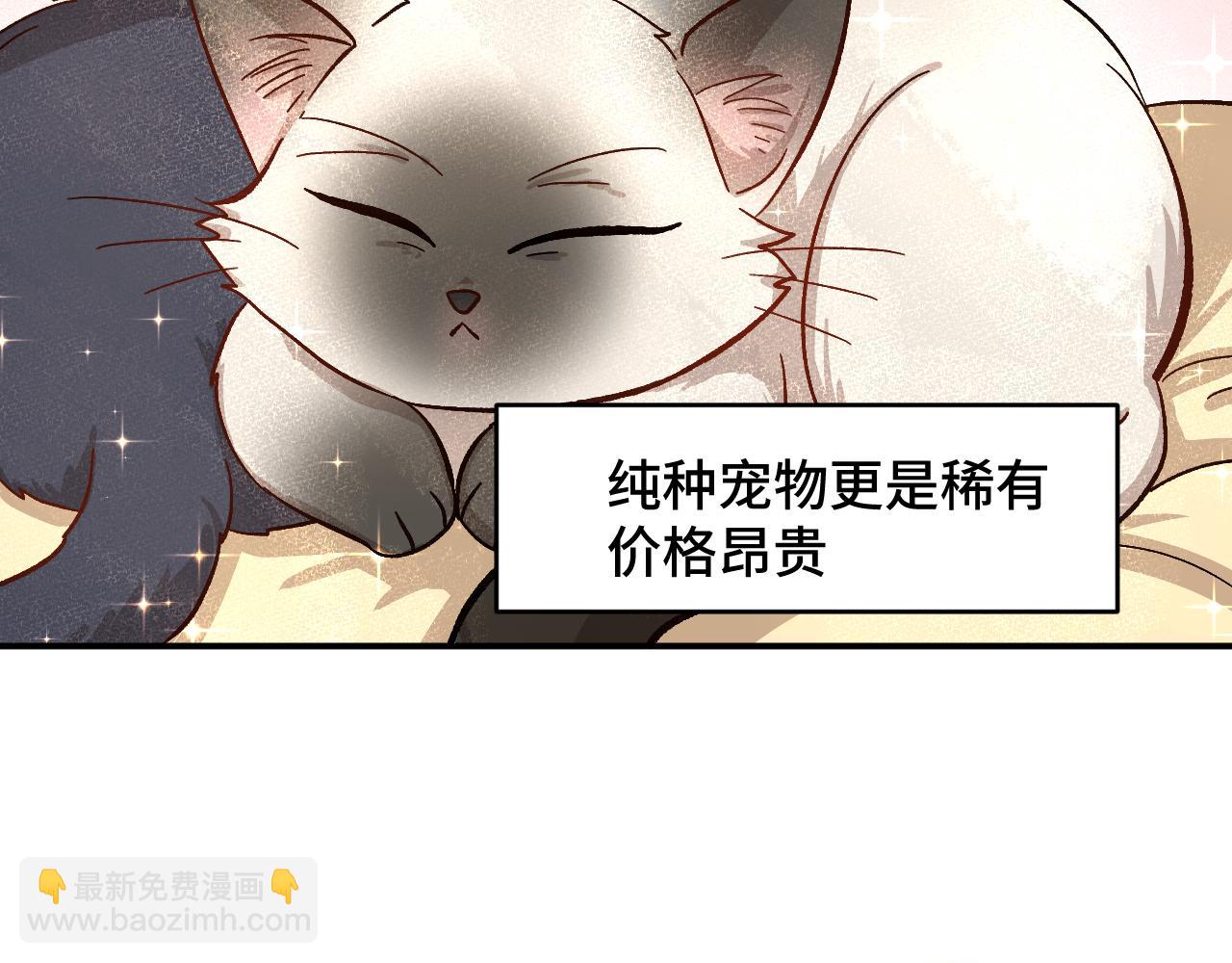 第一章 相遇(1/3)-第1话