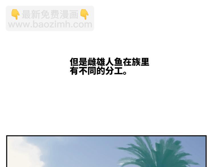 第15话  人鱼戏泥(1/2)-第17话