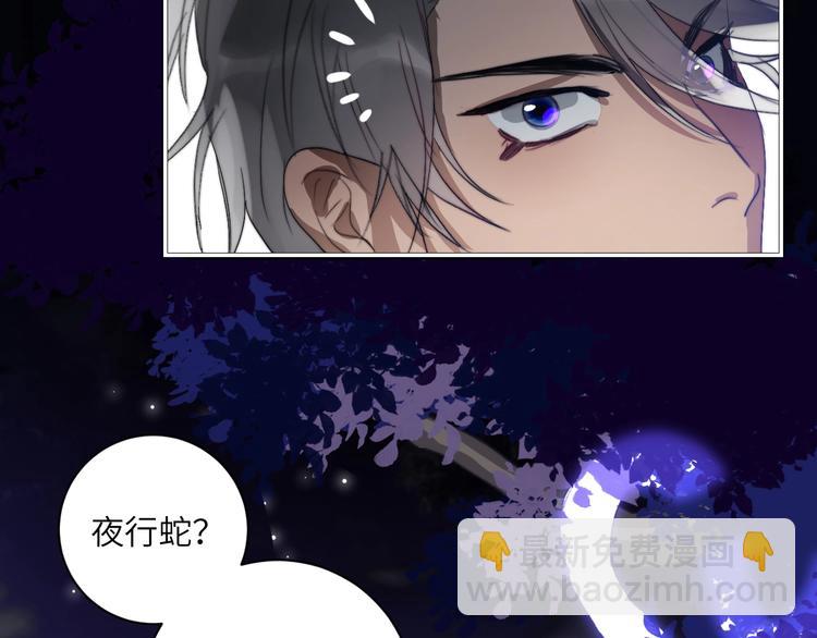 第23话  夜色真美(1/2)-第25话