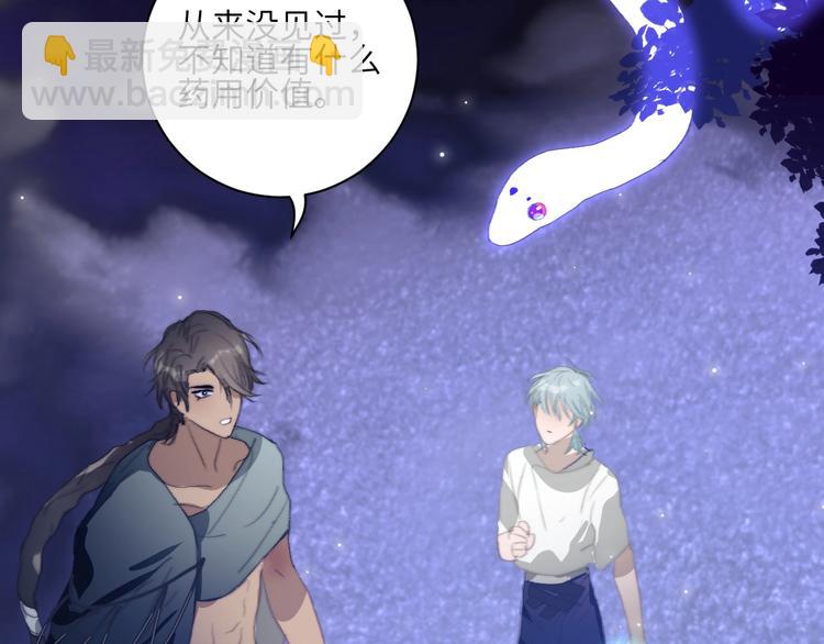 第23话  夜色真美(1/2)-第25话