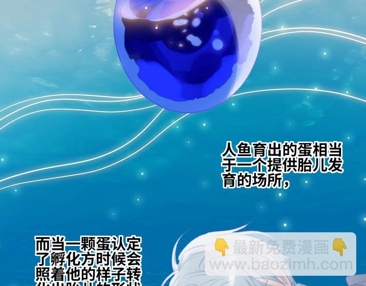 第23话  夜色真美(1/2)-第25话