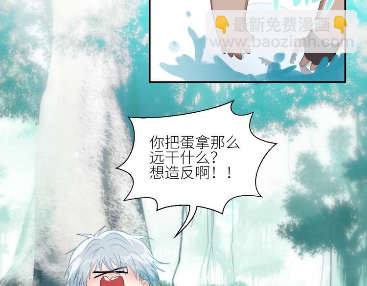 第28话  孵蛋重启？(1/2)-第31话