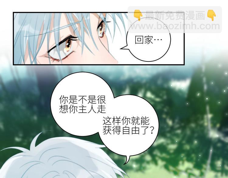 第28话  孵蛋重启？(1/2)-第31话