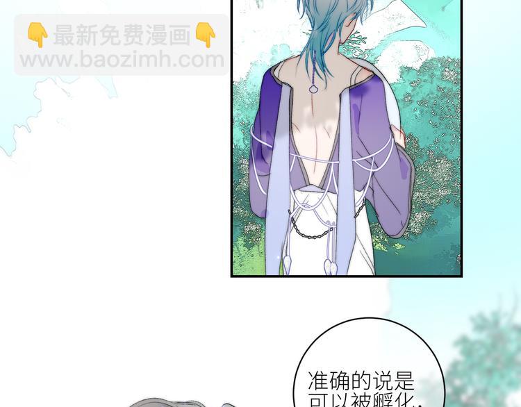 第52话 人鱼可以放生吗？(1/2)-第55话