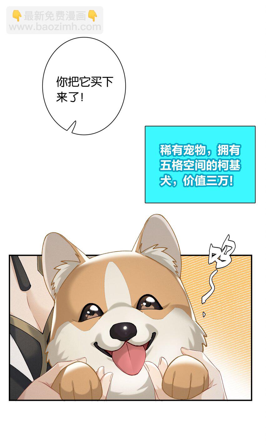 第049话 宠物开开-第55话