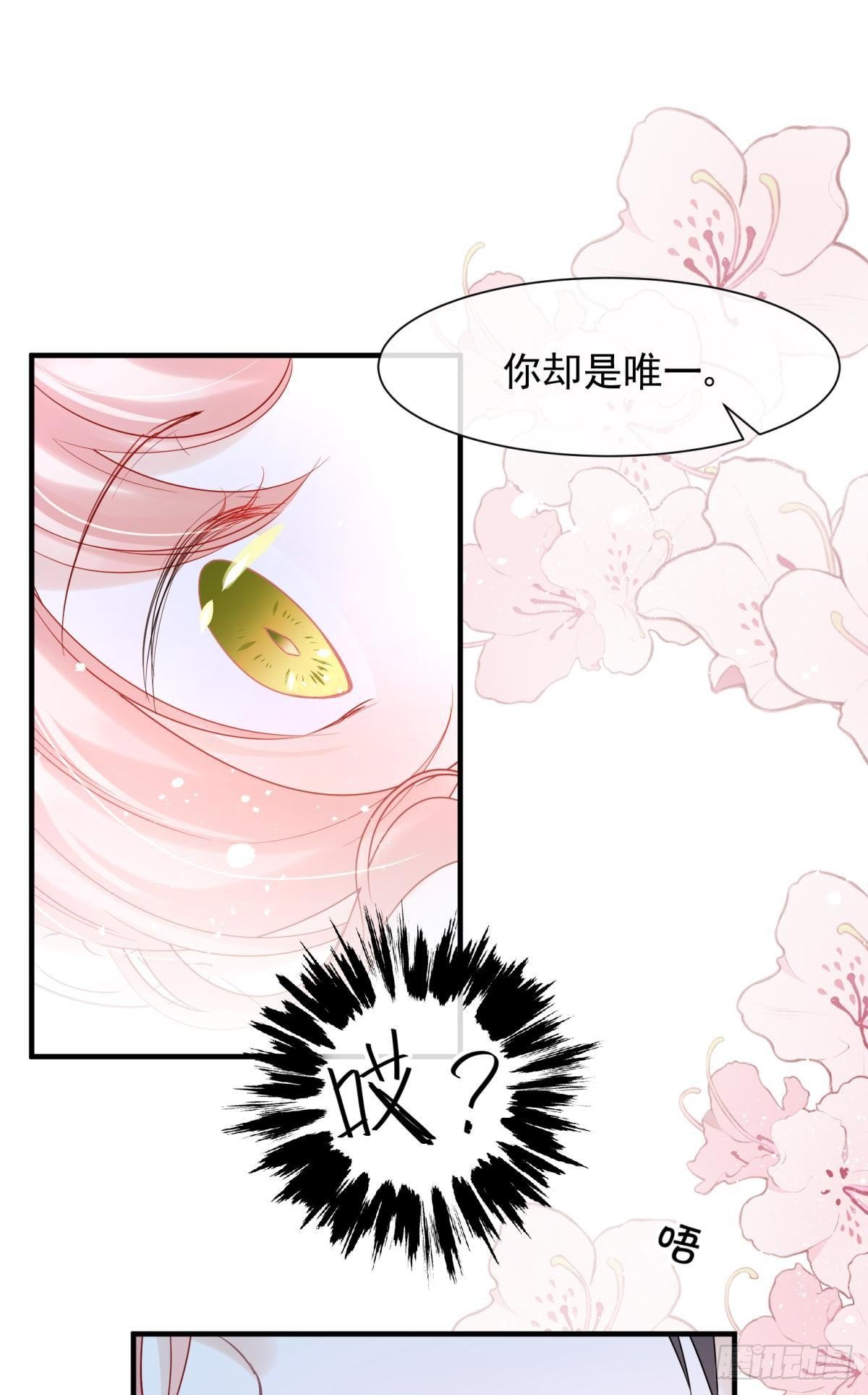 23皇家丑闻！侍寝当夜驸马跑路(1/2)-第25话