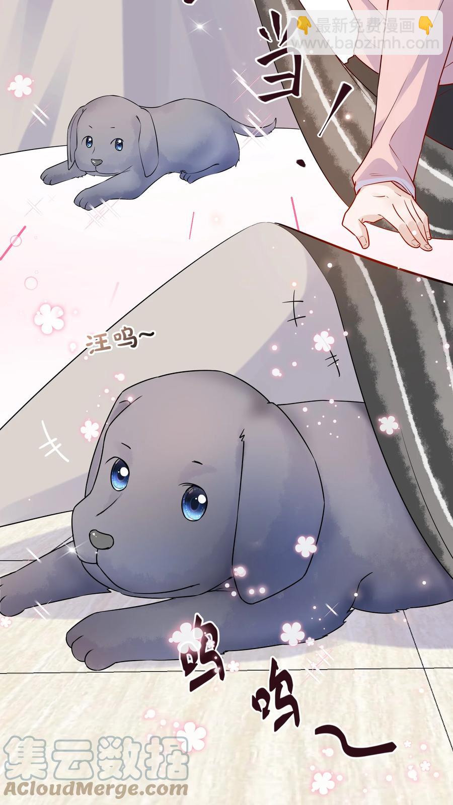 058 1米：我是它的父亲-第61话