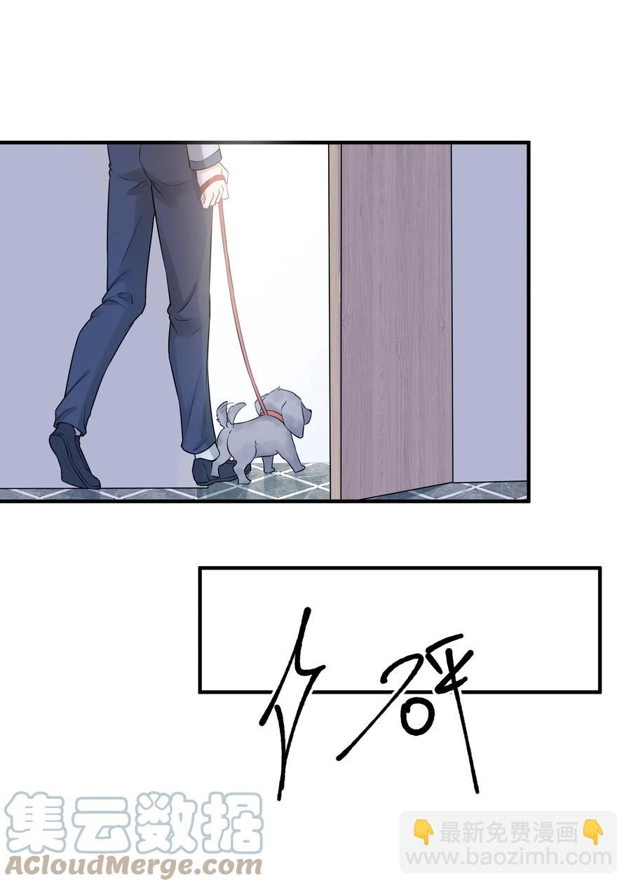 062 5米：你好，我是令郎养的兔子-第65话