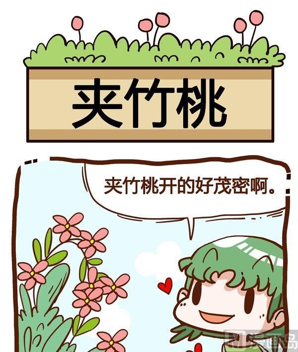 你對植物知多少 - 第9話 - 5