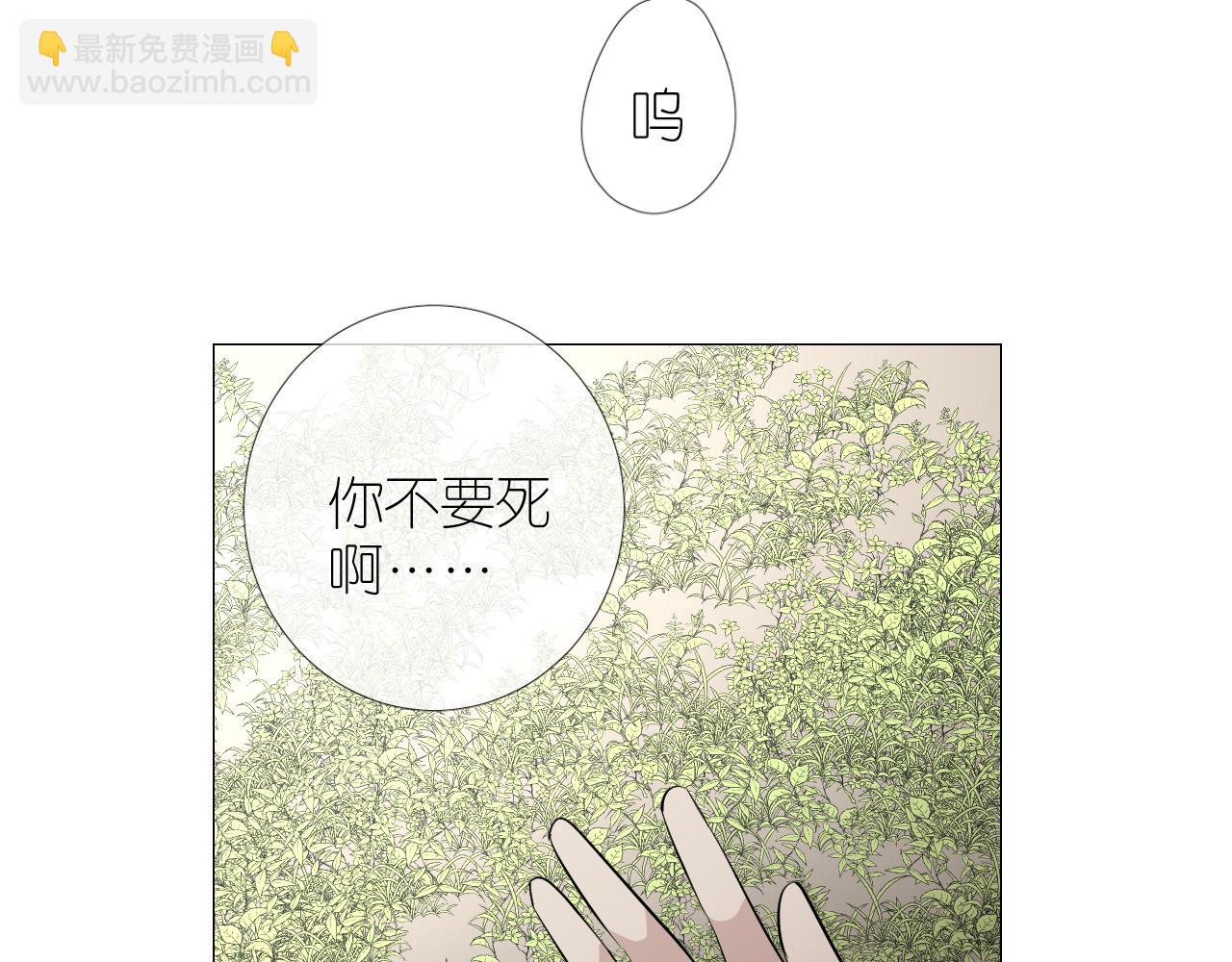 第二季 32.许愿树的精灵(1/3)-第117话