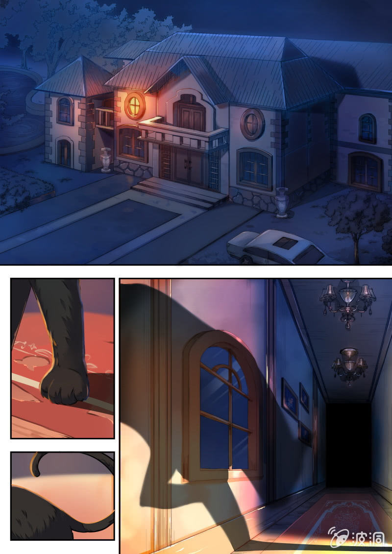 001话（上）：黑猫之谜-第1话