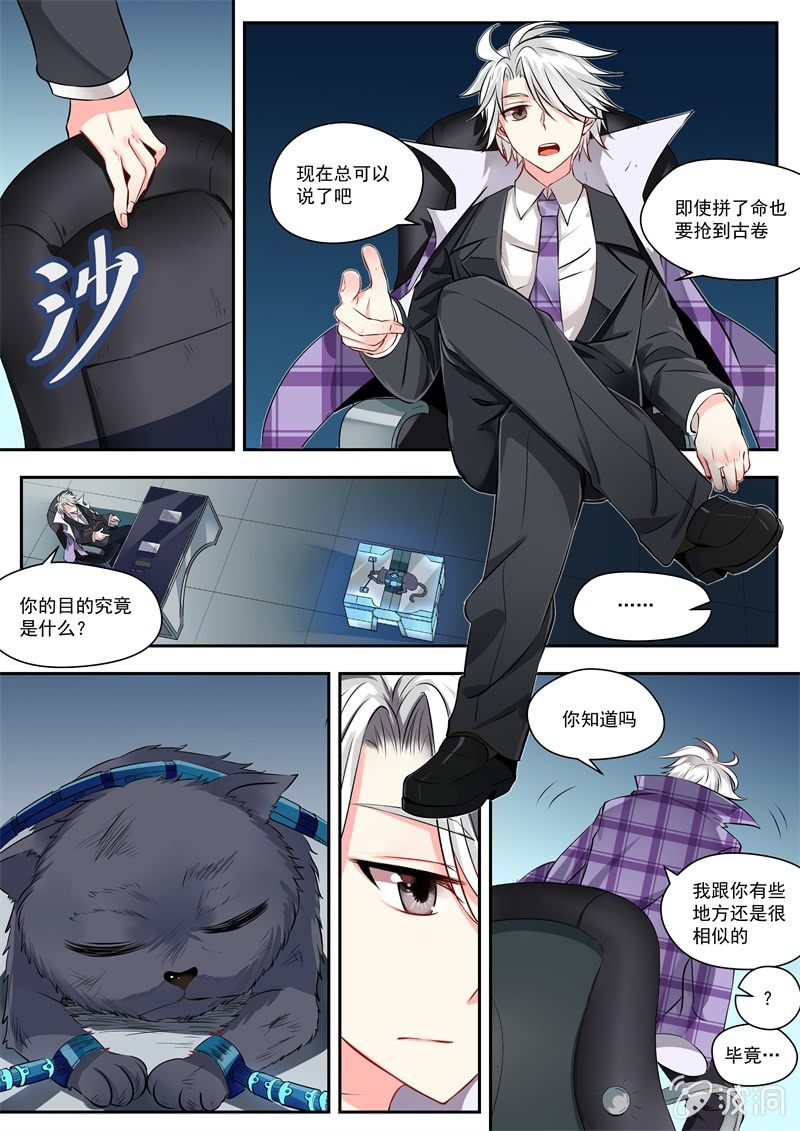 010话 黑猫之谜：神秘组织-第11话