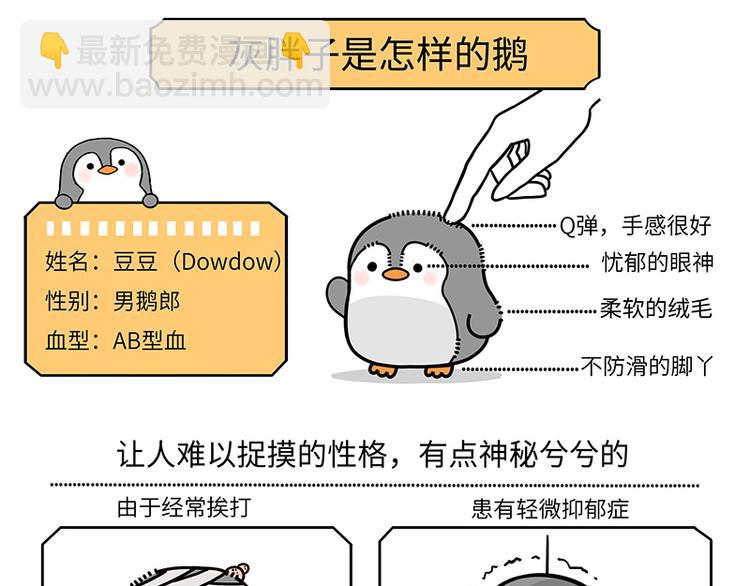 第1话 萌化南极-第1话