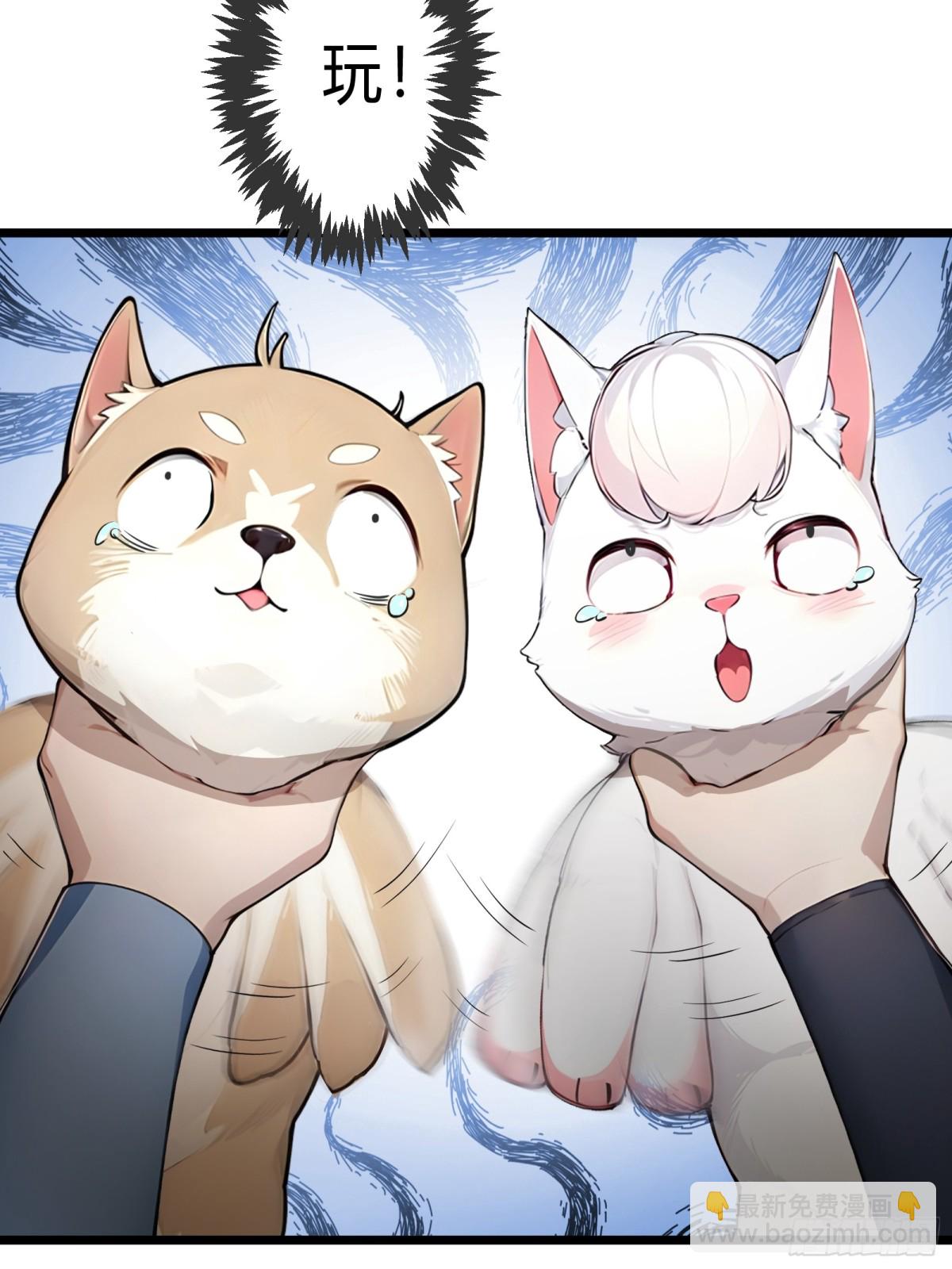 23   神宠进化！-第23话