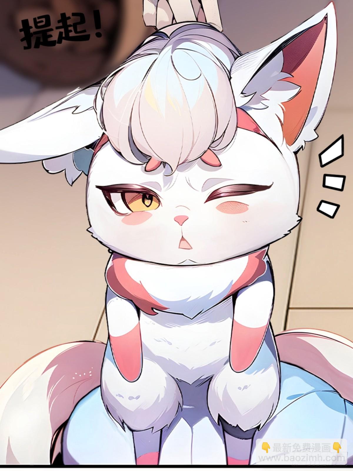 05   先天道体(1/2)-第5话