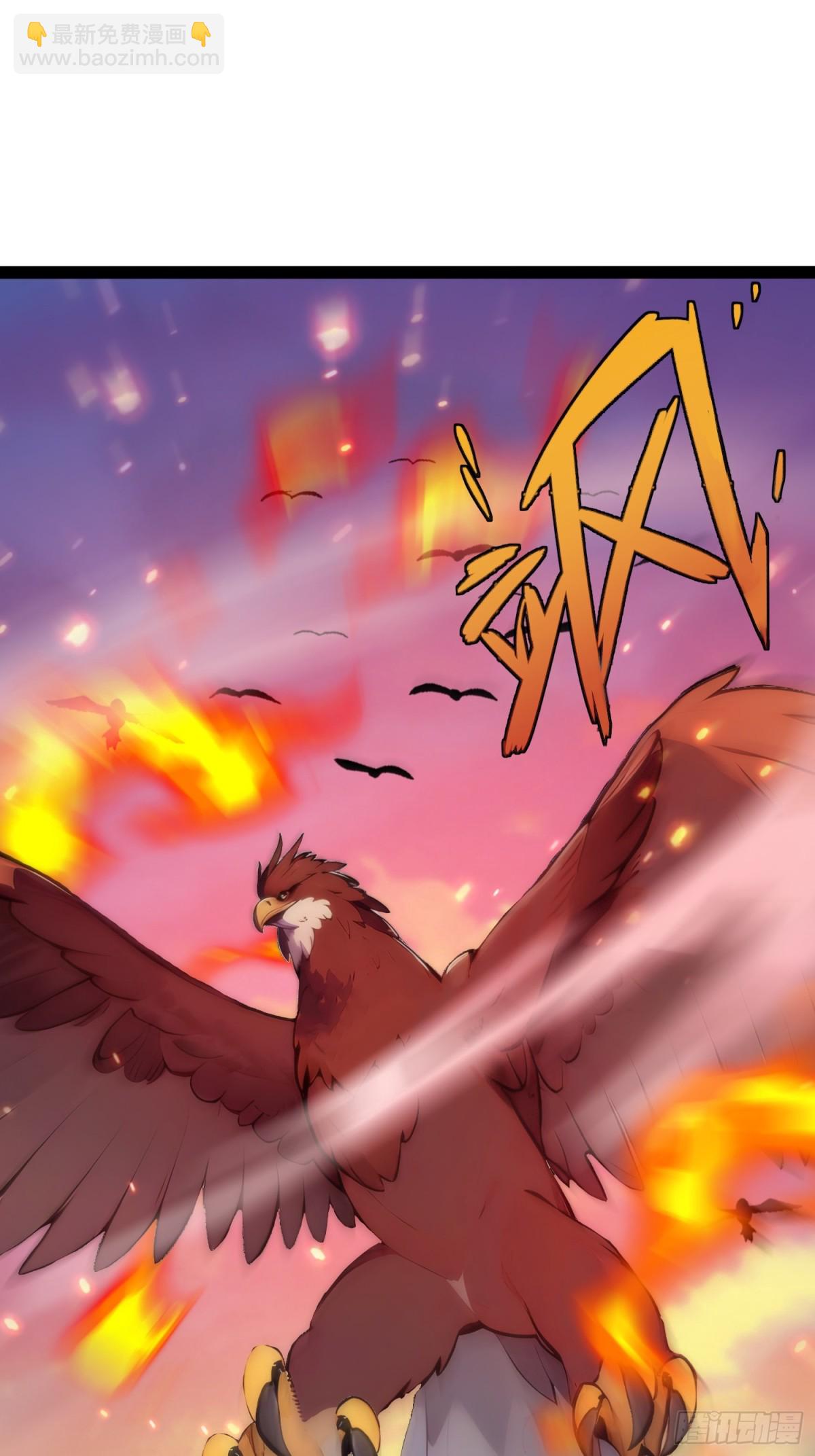 09   长肥好下菜(1/2)-第9话