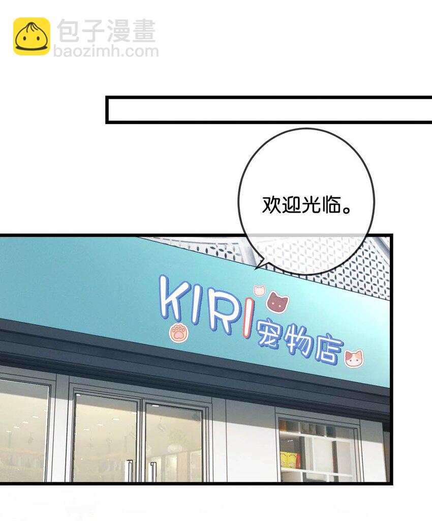 042 沈庭未应该会喜欢它。-第43话