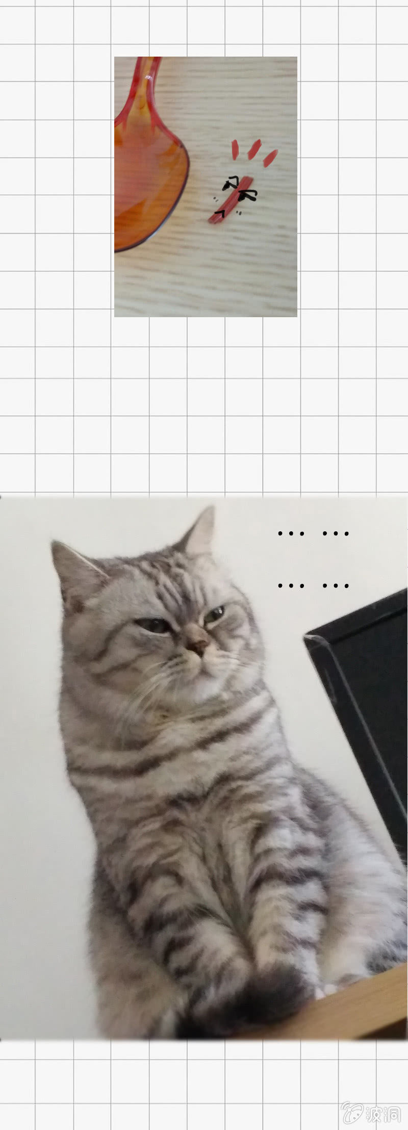 情比金坚-第11话