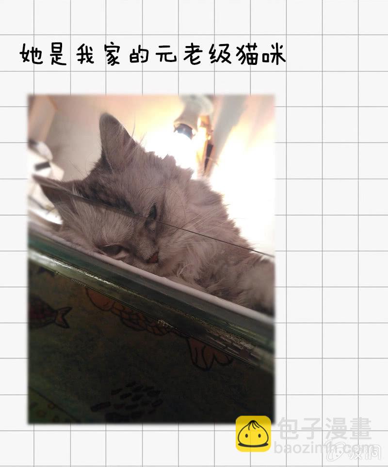 最终幻想-第15话