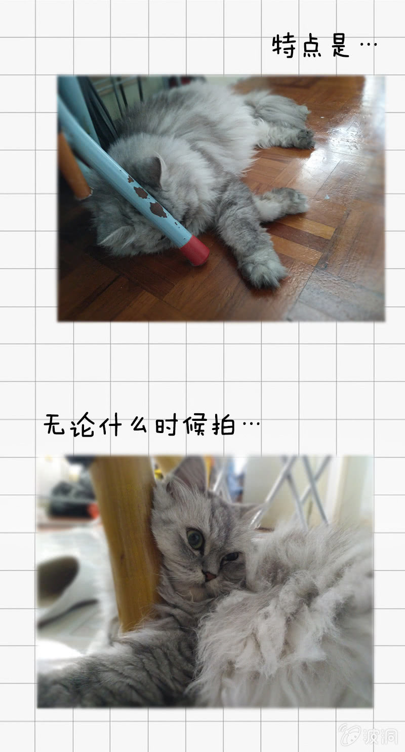 最终幻想-第15话