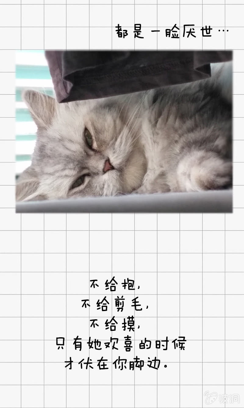 最终幻想-第15话