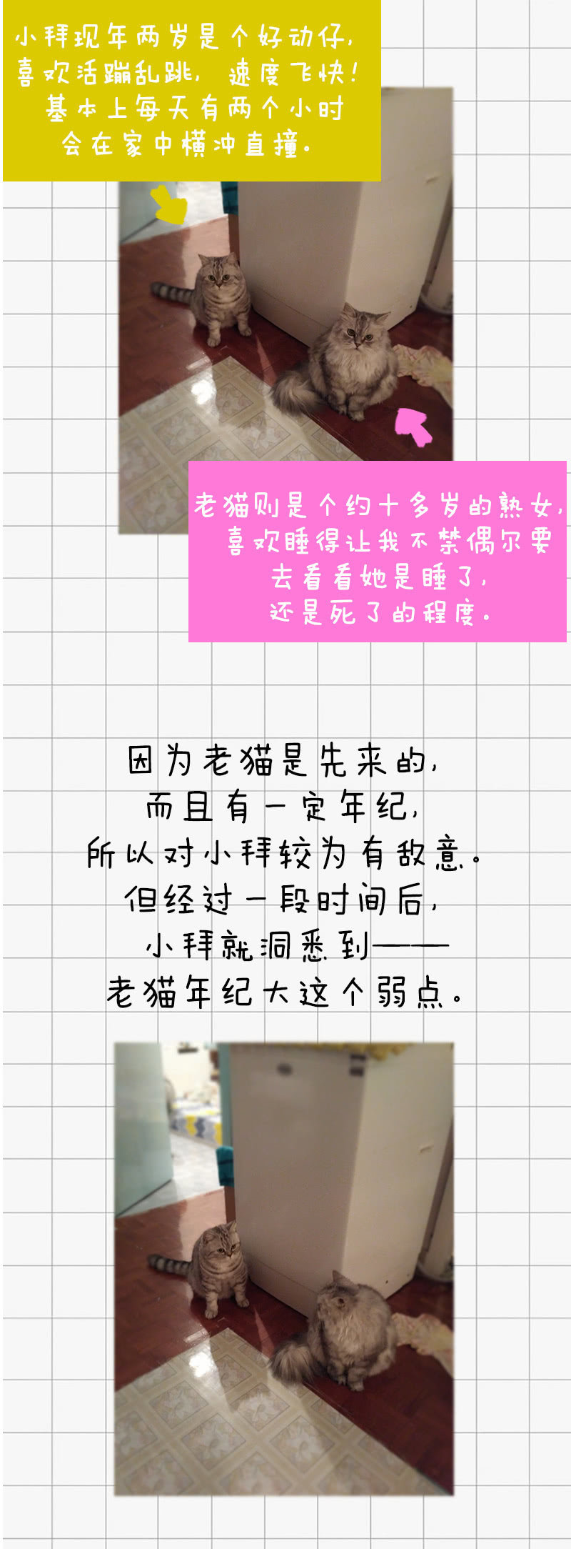 寒冬将至-第31话