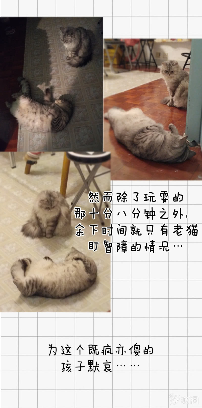 寒冬将至-第31话