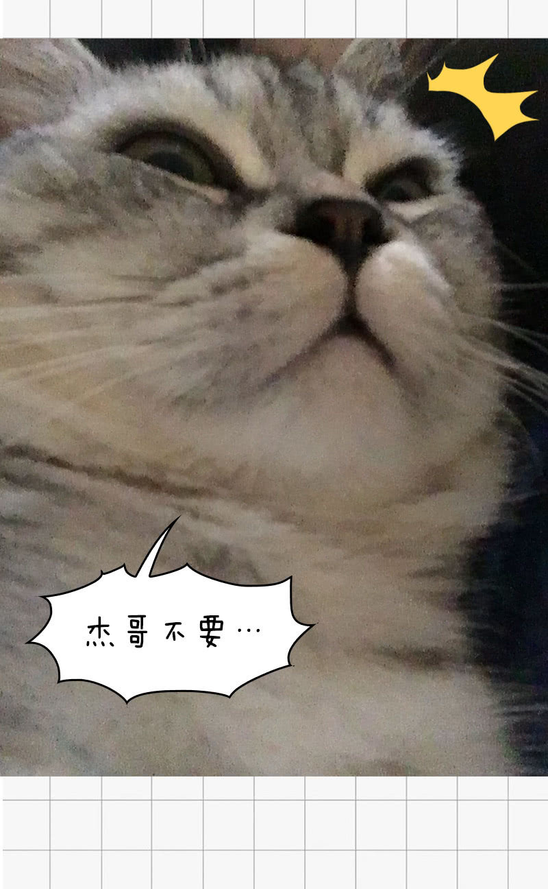 我们中间出了个叛徒-第37话